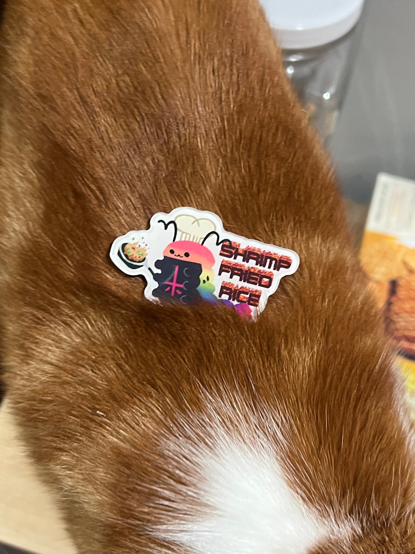 Cult of the Lamb Shrimp Fried Rice 2.5” Magnet